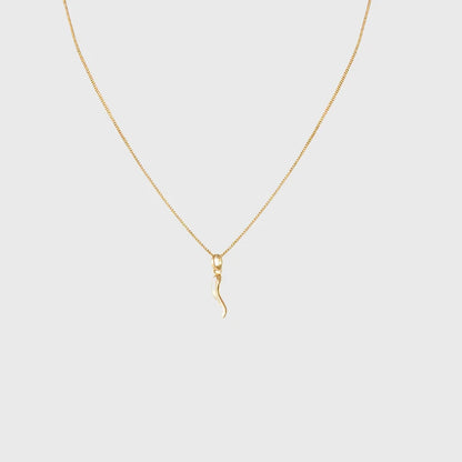 GIULIA ITALIAN HORN CHARM NECKLACE